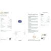 JS25 CERT IGI