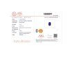 JS39 CERT AIG