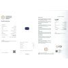 JS39 CERT IGI