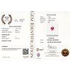 CERT 1082 GGTL