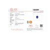 JS45 CERT AIG