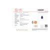 JS49 CERT AIG