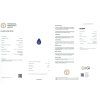JS49 CERT IGI