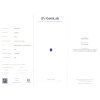 JS58 CERT GemLab