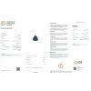 JS36 CERT IGI