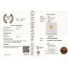 CERT 926 GGTL