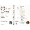 CERT 1020 GGTL