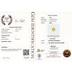 CERT 1049 GGTL