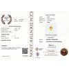 CERT 1051 GGTL