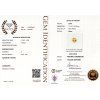 CERT 1071 GGTL