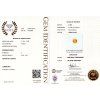 CERT 1029 GGTL