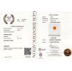 924 CERT GGTL