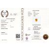 1063 CERT GGTL