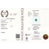 1064 CERT GGTL