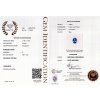 CERT 705 GGTL