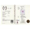 CERT 55
