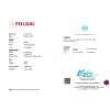 22 CERT PGTL