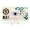 JS16 FOTO 1