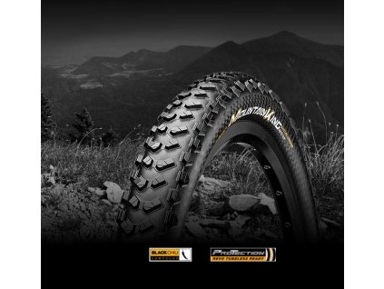 Mountain King 2.3 29"