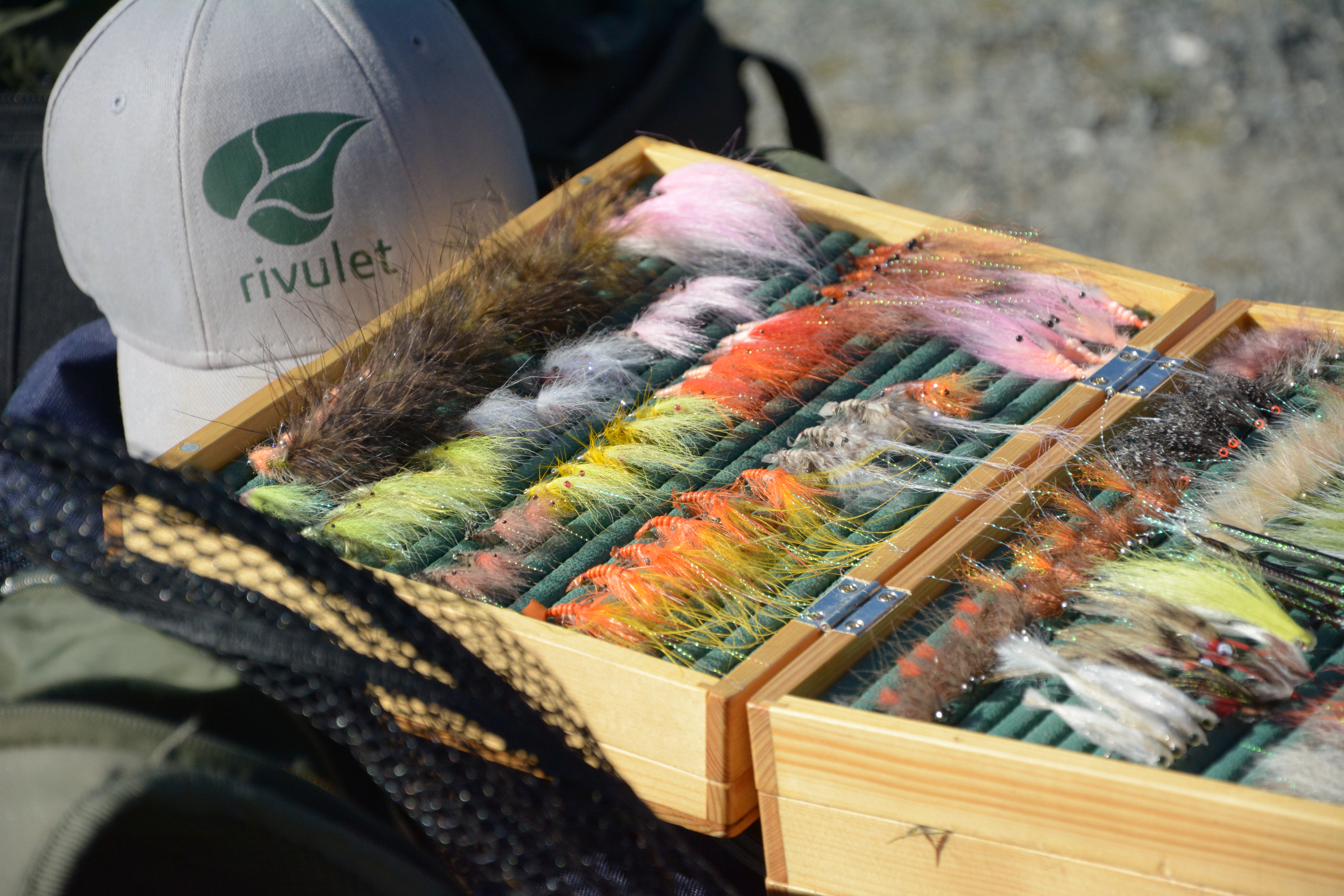 Dánsko- mořští pstruzi