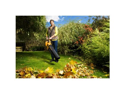 Riwall PRO REBV 3000