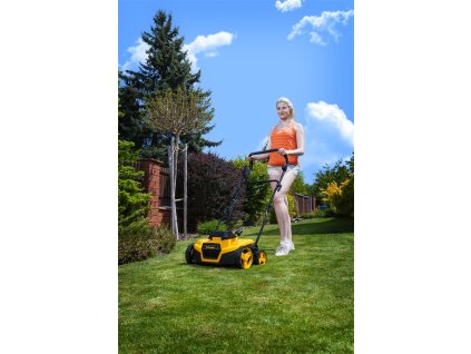 Riwall PRO RAV 3820i