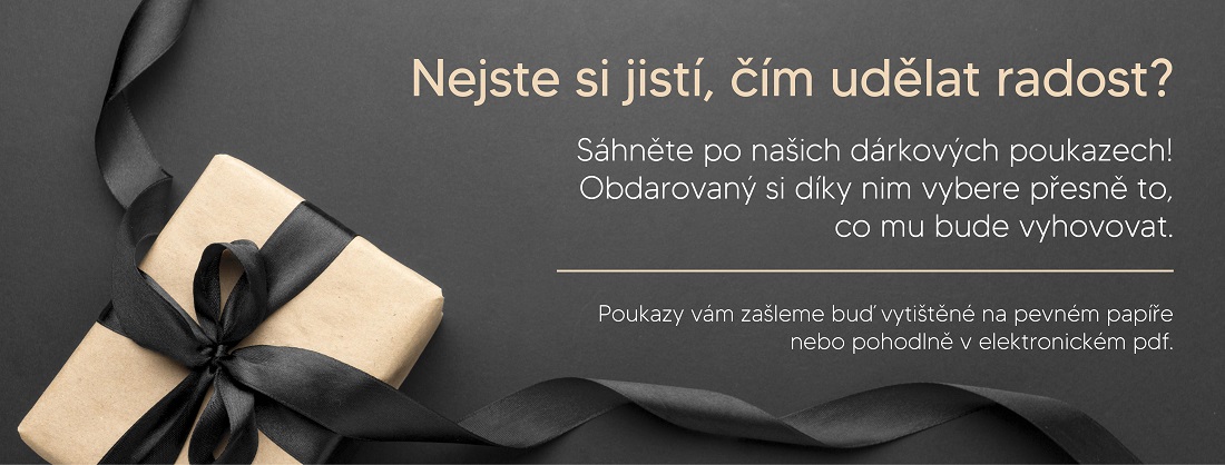 DÁREK NA POSLEDNÍ CHVÍLI