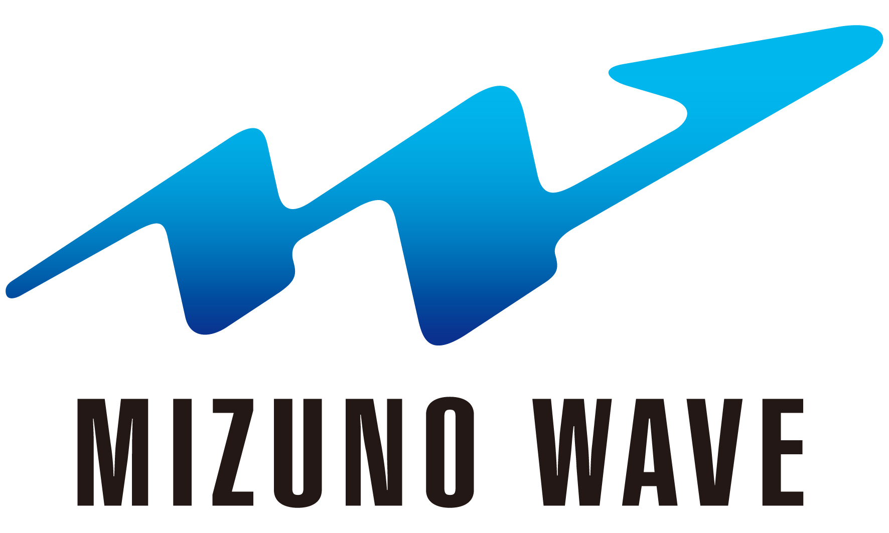 MizunoWave