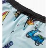 Roark Hinano Shorey Luau 16" Boardshort