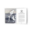 I Love the Seaside - Travel Guide to Great Britain and IrelandUK IRL 4 def 1 scaled