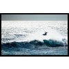 Surf Porn Gestalten