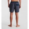 Roark Shorey Boardshorts 16" - Boletes Nannai Blue