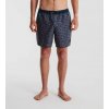 Roark Shorey Boardshorts 16" - Boletes Nannai Blue