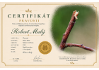 Certifikát Zlomený