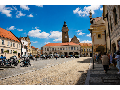Věž