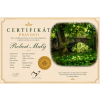 Certifikát Most přes minulost 1