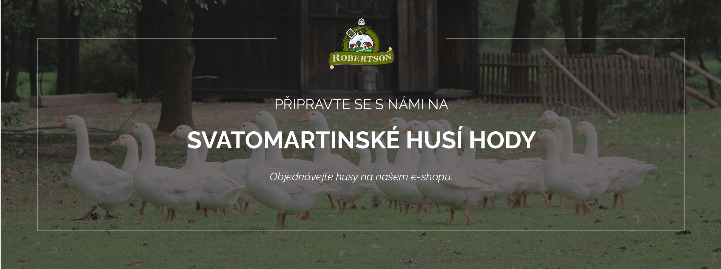 Svatomartinské hody