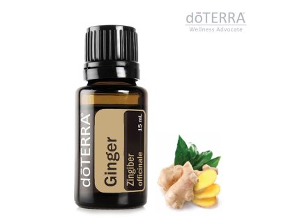 doTerra Ghimbir 15 ml