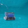 EP Large EP Dolphin M600 10 big