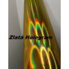 zlata hologram