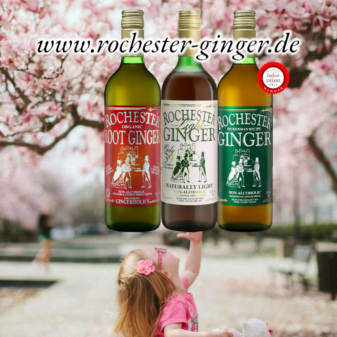 Der Frühling kommt – wachen Sie mit Rochester Ginger mit neuer Energie auf!