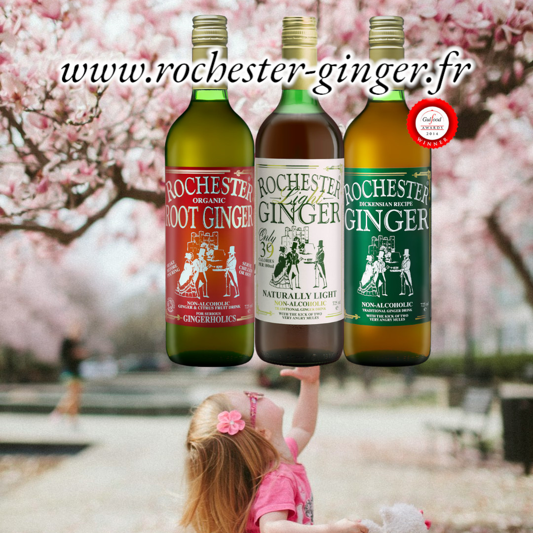 Le printemps arrive – réveillez-vous avec une nouvelle énergie avec Rochester Ginger !