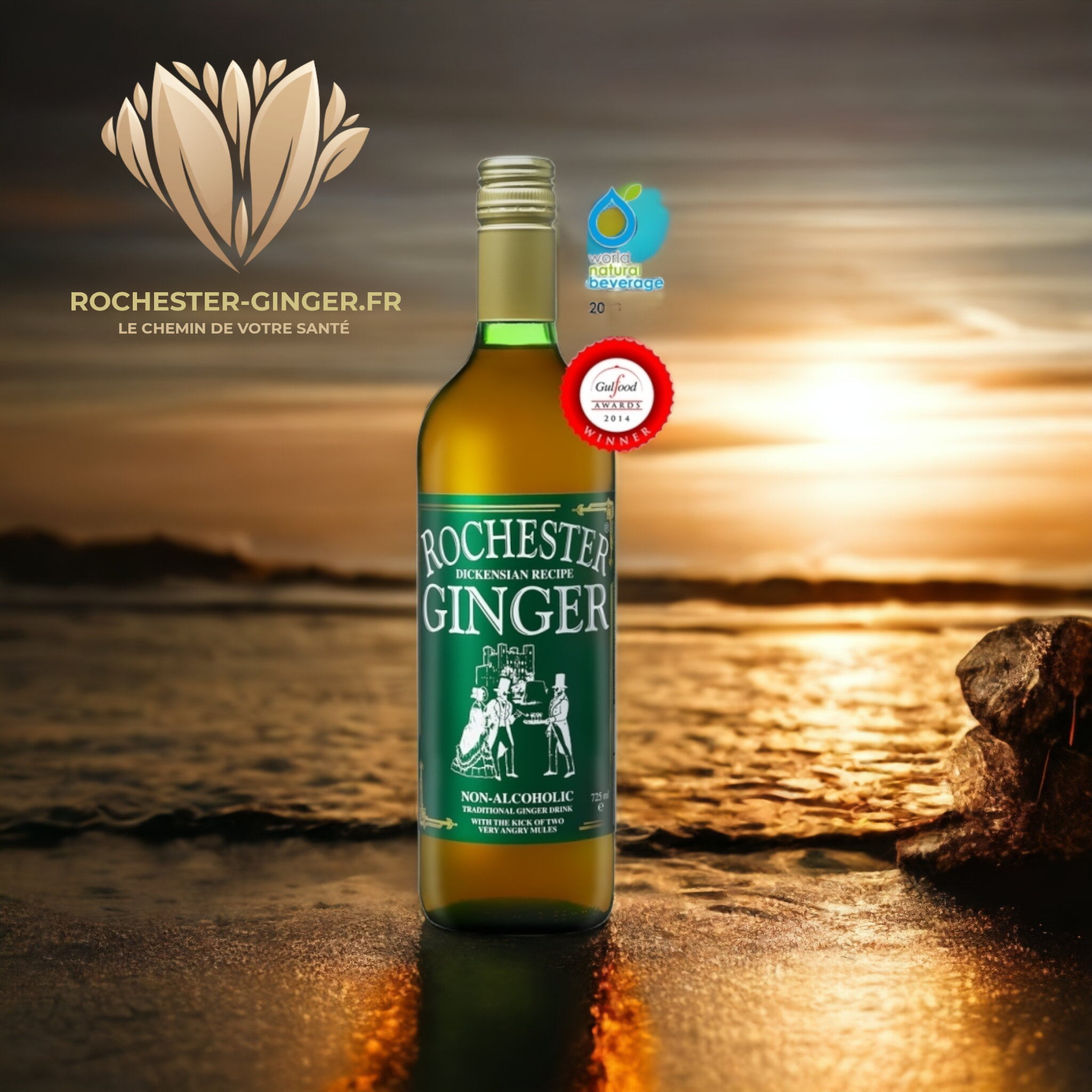 Les boissons au gingembre Rochester Ginger : La base de la santé et de la vitalité pour la digestion et le système immunitaire