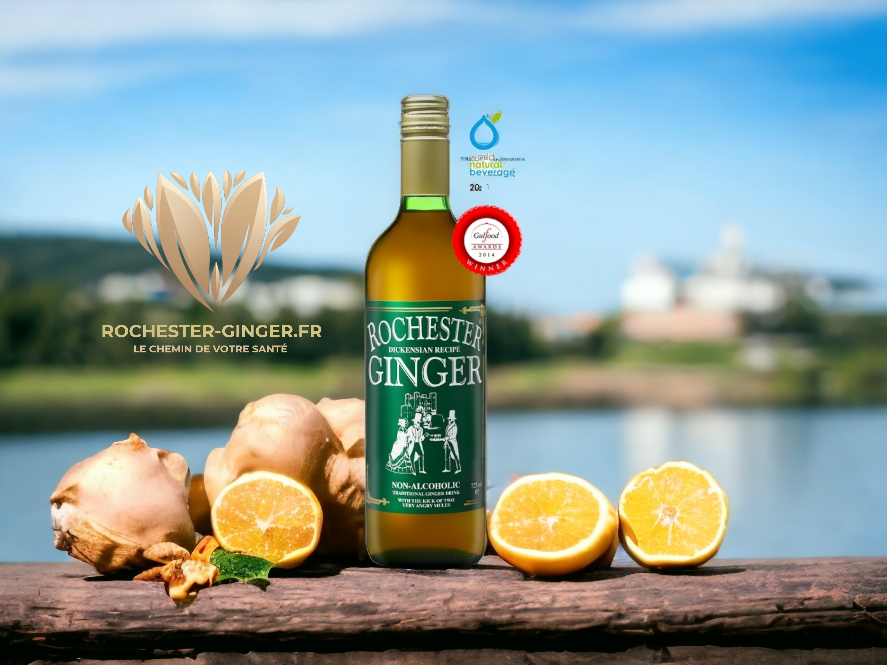 Rochester Ginger : Boisson au gingembre aux puissants effets curatifs
