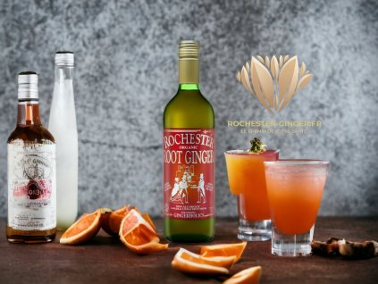 Rochester Organic Root Ginger boisson au gingembre, 725 ml