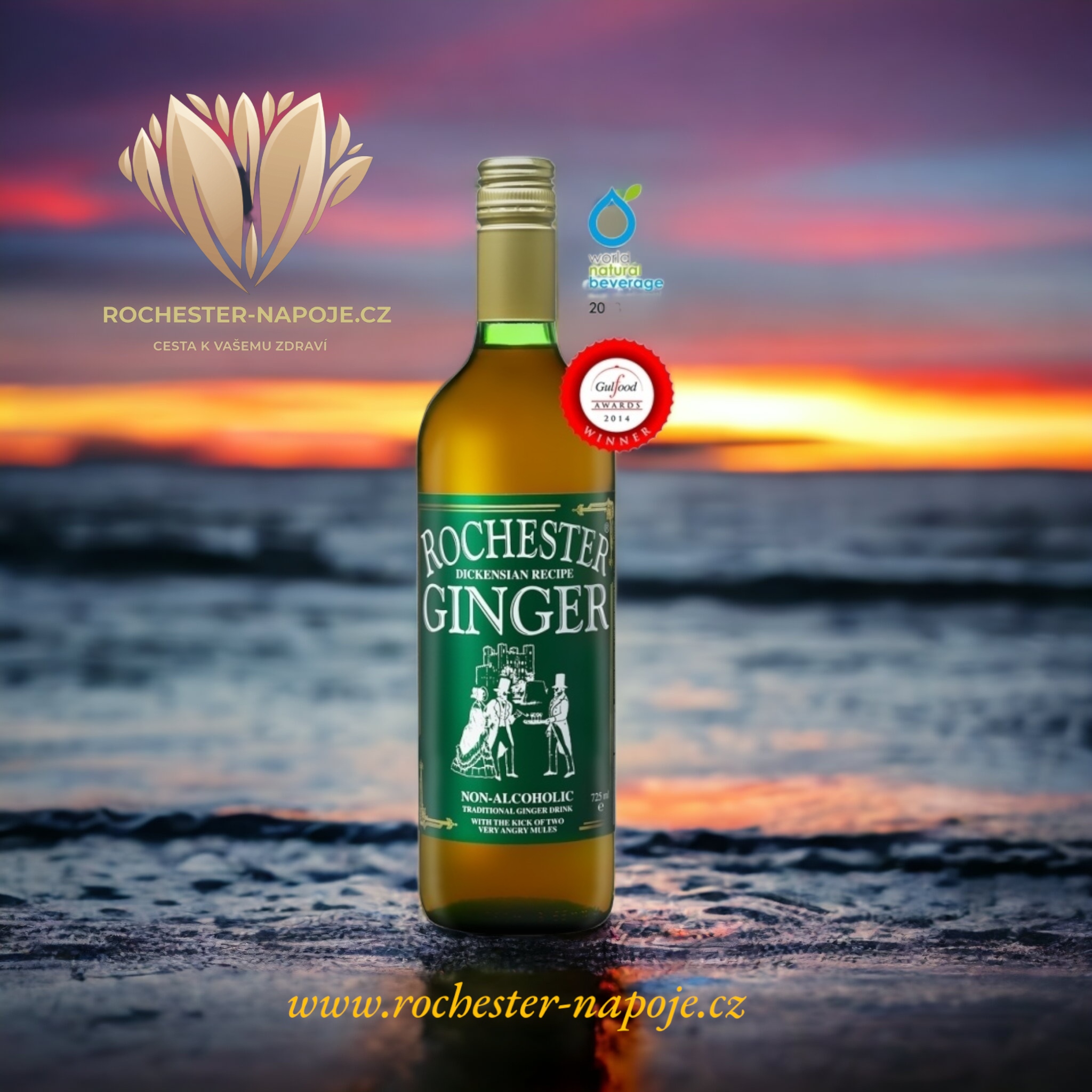 Zázvorové nápoje Rochester Ginger: Základ zdraví a vitality pro trávení a imunitní systém