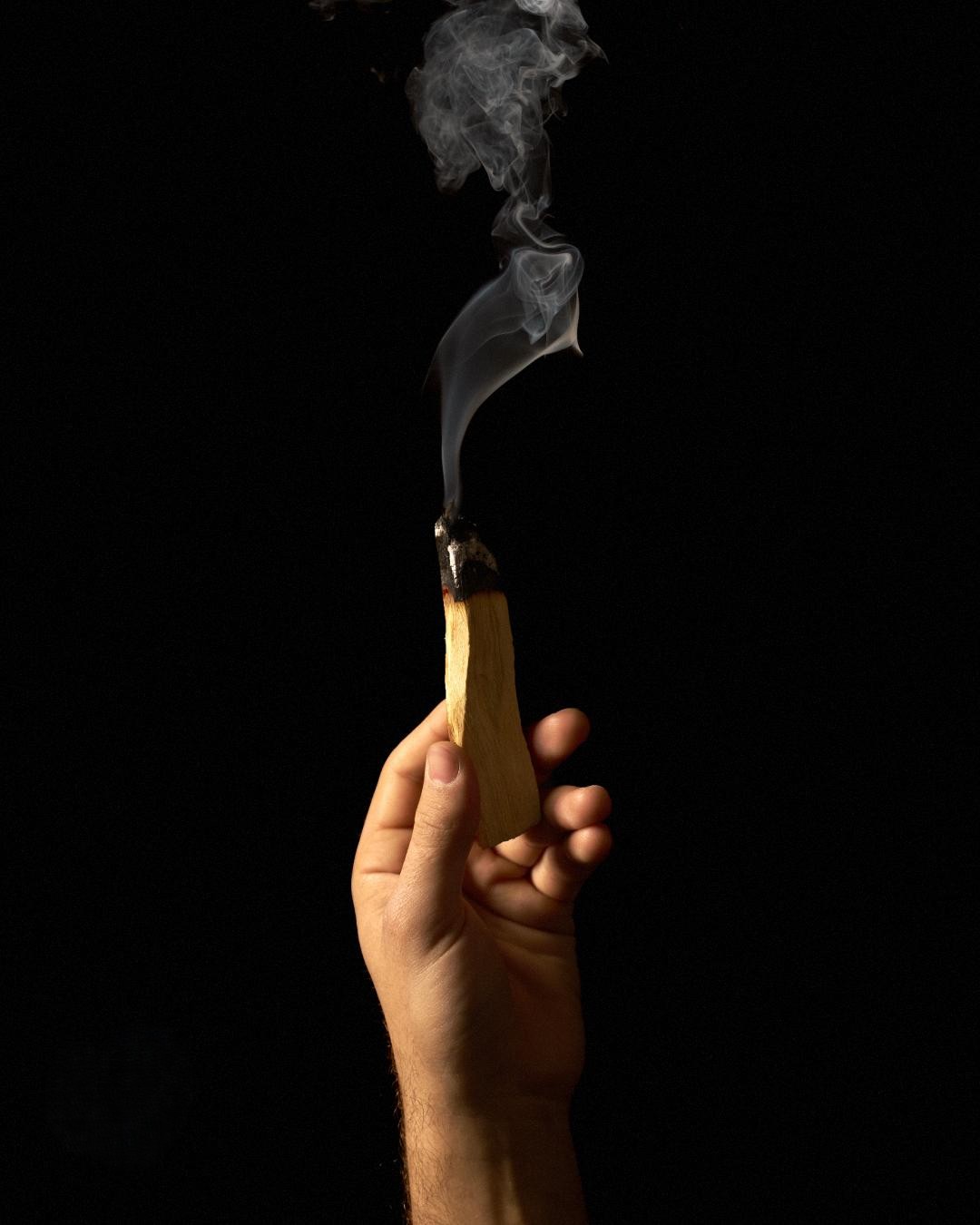 Je sběr Palo Santo legální?