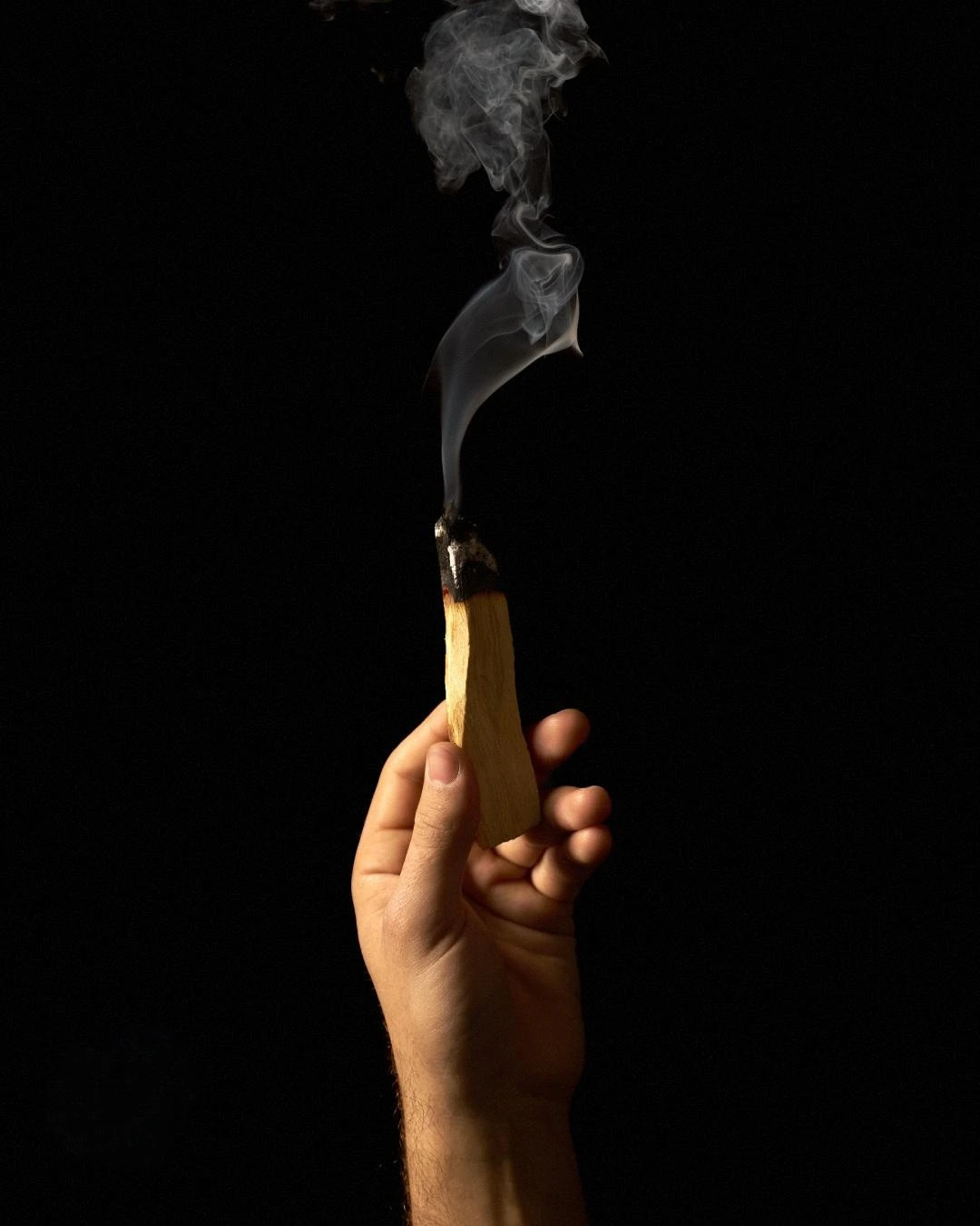 Is harvesting Palo Santo legal?