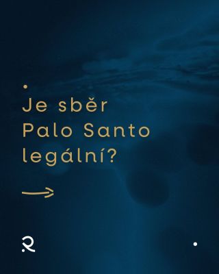 Je vůbec Palo Santo legální? Více se dočtete v novém článku u nás na blogu. Odkaz v biu profilu. #palosanto #rocio...