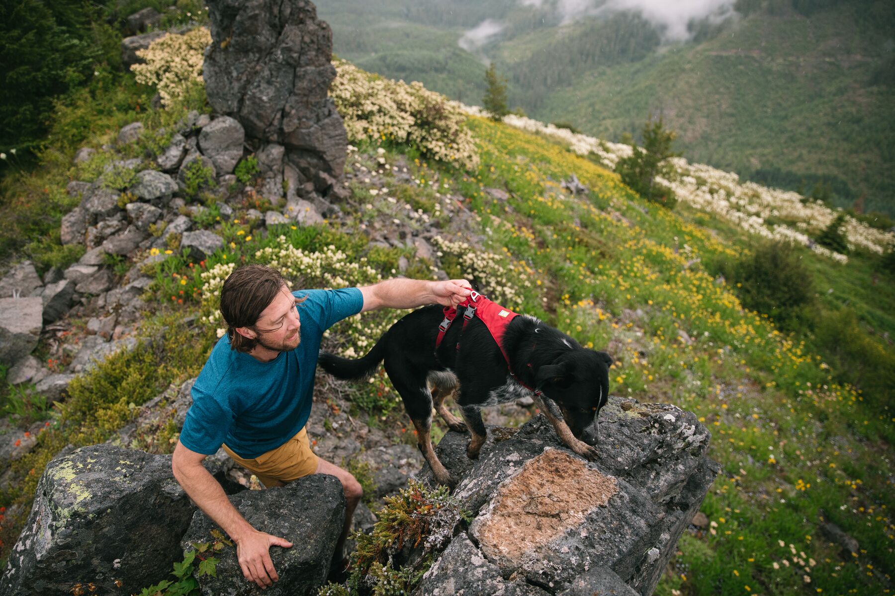 Postroj pro psy Ruffwear Flagline